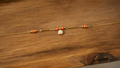 BRACELET Clémentine COLLECTION PHOENIX